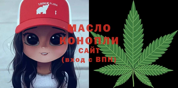 дмт Новозыбков