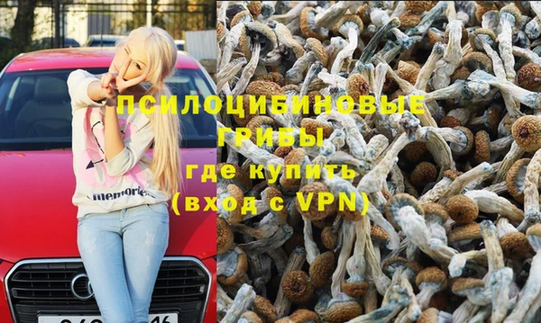 сатива Нея