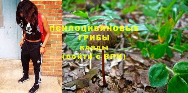 марки nbome Новодвинск