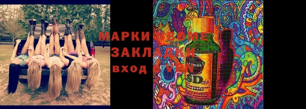 дмт Новозыбков