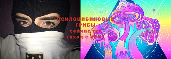 гашик Нефтекумск