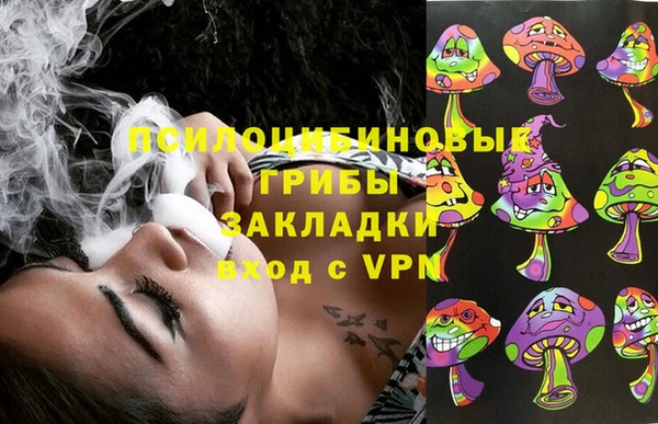 гашик Нефтекумск