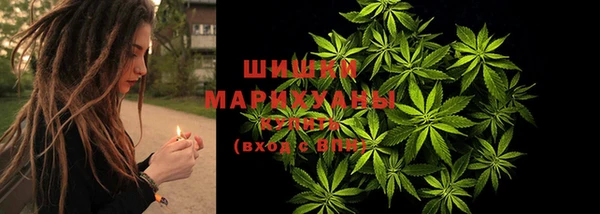 сатива Нея